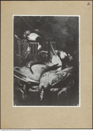 Vorderseite von bh158365_recto