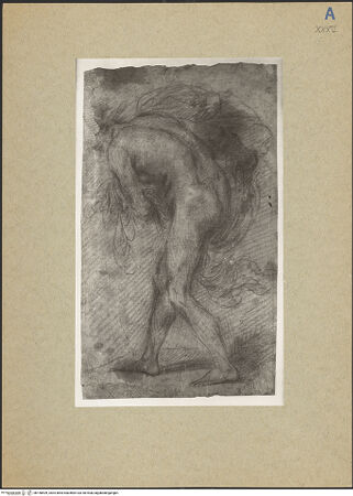 Vorderseite von bh158409_recto