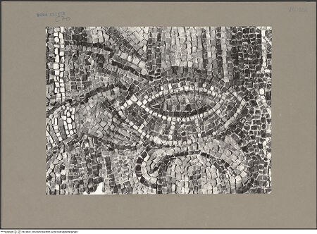 Vorderseite von bh158561_recto