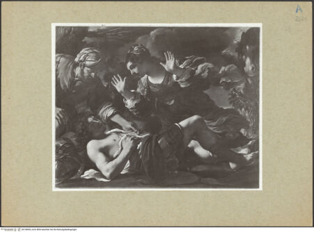 Vorderseite von bh158569_recto