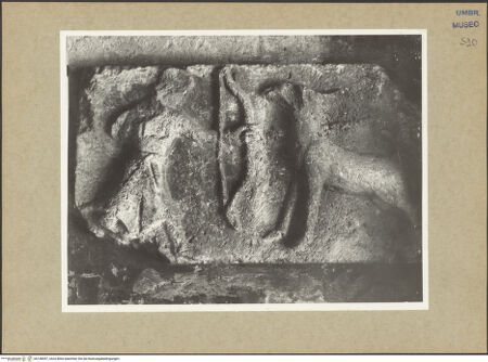 Vorderseite von bh158597_recto