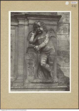 Vorderseite von Hutzel, Max [https://www.deutsche-digitale-bibliothek.de/content/lizenzen/rv-fz/] Grabmal des Pietro Cesi (1422-1477)Putti und Inschrift - Detail: Putto mit Wappen, bh158793_recto. Foto: Hutzel, Max.