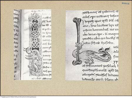 Vorderseite von bh159008_bh159009_recto