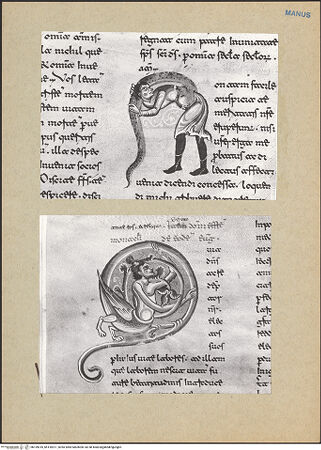 Vorderseite von bh159010_bh159011_recto