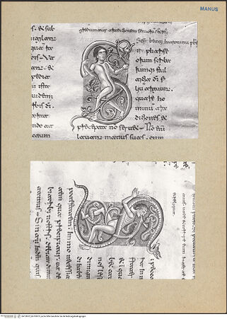 Vorderseite von bh159012_bh159013_recto