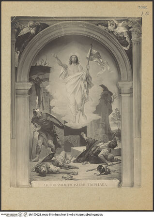 Vorderseite von bh159028_recto