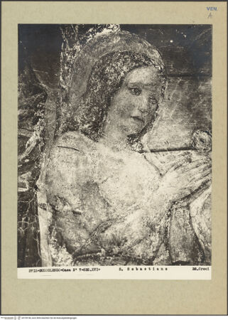 Vorderseite von bh159158_recto