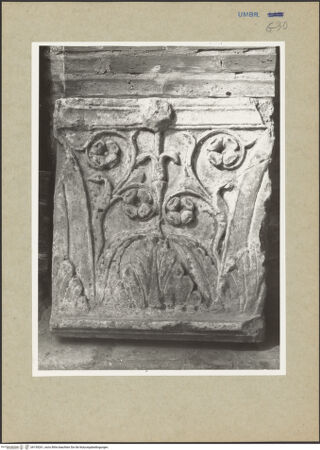 Vorderseite von bh159261_recto