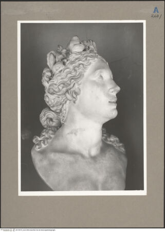 Vorderseite von bh159979_recto