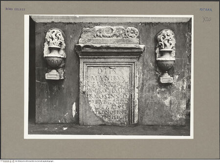 Vorderseite von Hutzel, Max [https://rightsstatements.org/page/CNE/1.0/] Skulpturenfragmente - , bh159984_recto. Foto: Hutzel, Max.