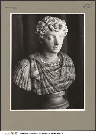 Vorderseite von Hutzel, Max [https://rightsstatements.org/page/CNE/1.0/] Zwei antikisierende BüstenBüste eines Jünglings - , bh159989_recto. Foto: Hutzel, Max.