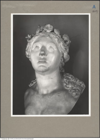 Vorderseite von bh159993_recto