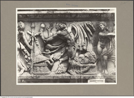 Vorderseite von bh160186_recto