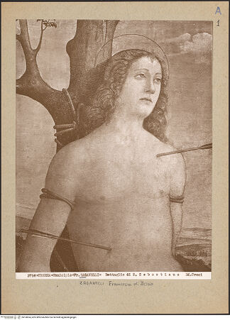 Vorderseite von bh160694_recto