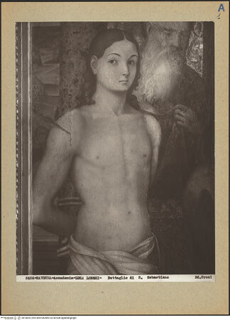 Vorderseite von bh160695_recto