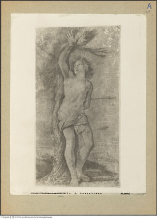 Vorderseite von bh160702_recto