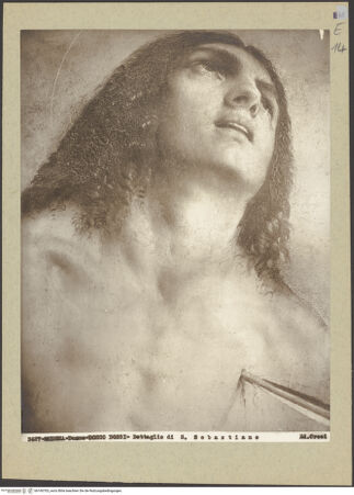 Vorderseite von bh160703_recto