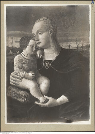 Vorderseite von bh160995_recto