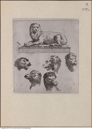 Vorderseite von bh161261_recto