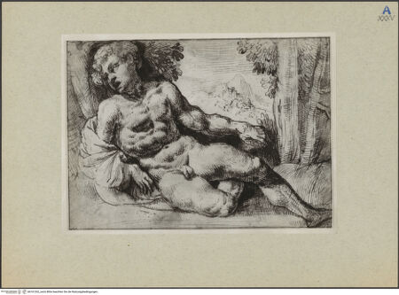 Vorderseite von bh161262_recto