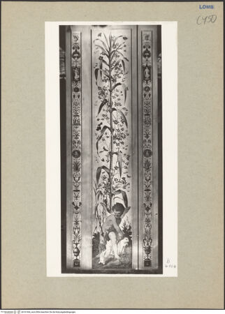 Vorderseite von bh161666_recto