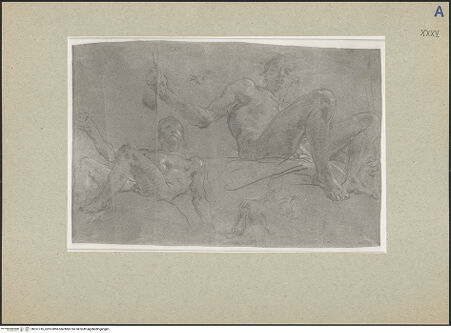 Vorderseite von bh161716_recto