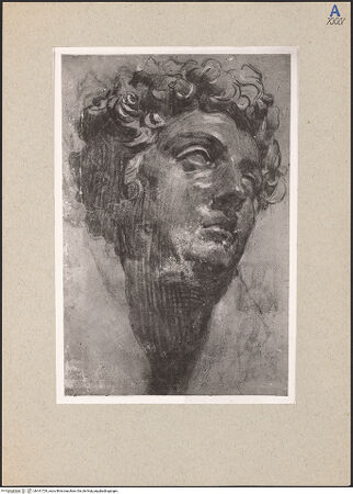 Vorderseite von bh161729_recto