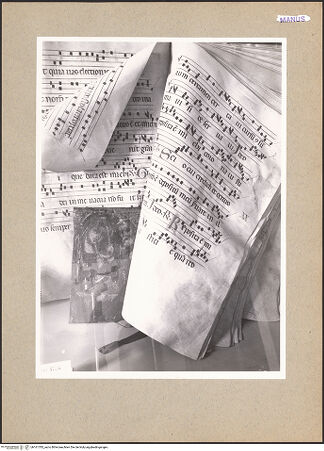 Vorderseite von bh161785_recto