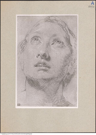 Vorderseite von bh161939_recto