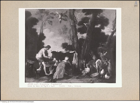 Vorderseite von bh161943_recto