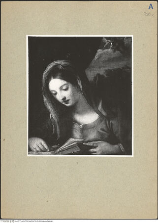 Vorderseite von bh162011_recto