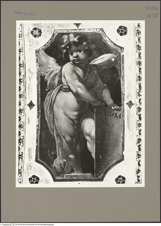 Vorderseite von bh162186_recto