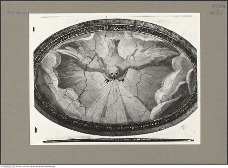 Vorderseite von bh162204_recto