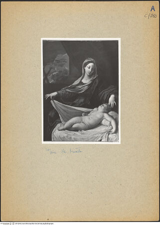 Vorderseite von bh162463_recto