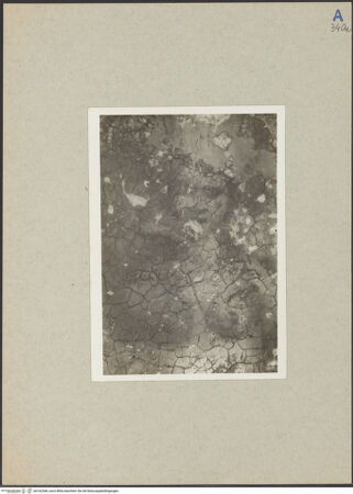 Vorderseite von bh162548_recto