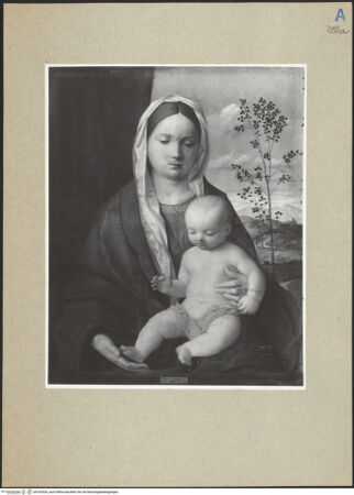 Vorderseite von bh162634_recto