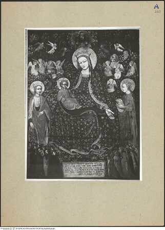 Vorderseite von bh162646_recto