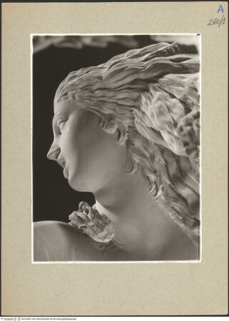 Vorderseite von bh162660_recto