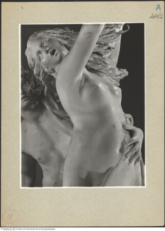 Vorderseite von bh162663_recto