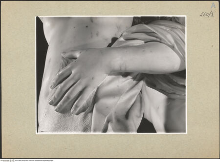 Vorderseite von bh162664_recto