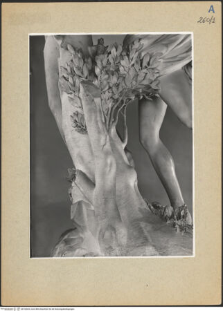 Vorderseite von bh162665_recto