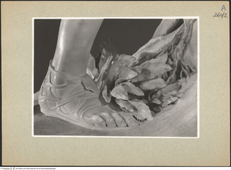 Vorderseite von bh162666_recto