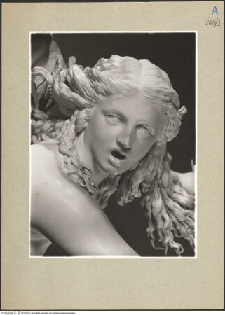 Vorderseite von bh162672_recto