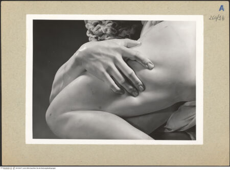 Vorderseite von bh162677_recto