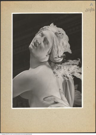 Vorderseite von bh162679_recto