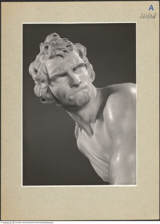 Vorderseite von bh162681_recto