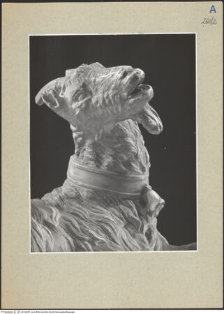 Vorderseite von bh162687_recto