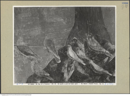 Vorderseite von bh162724_recto