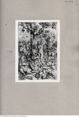 Vorderseite von  [http://creativecommons.org/publicdomain/mark/1.0/] Adam und Eva - , bh162925. Foto.