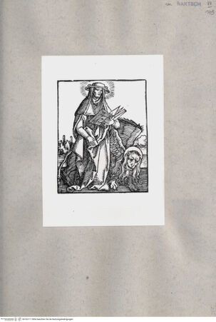 Vorderseite von  [http://creativecommons.org/publicdomain/mark/1.0/] ... - , bh163111. Foto.